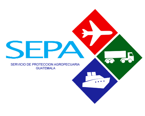 LOGO SEPA